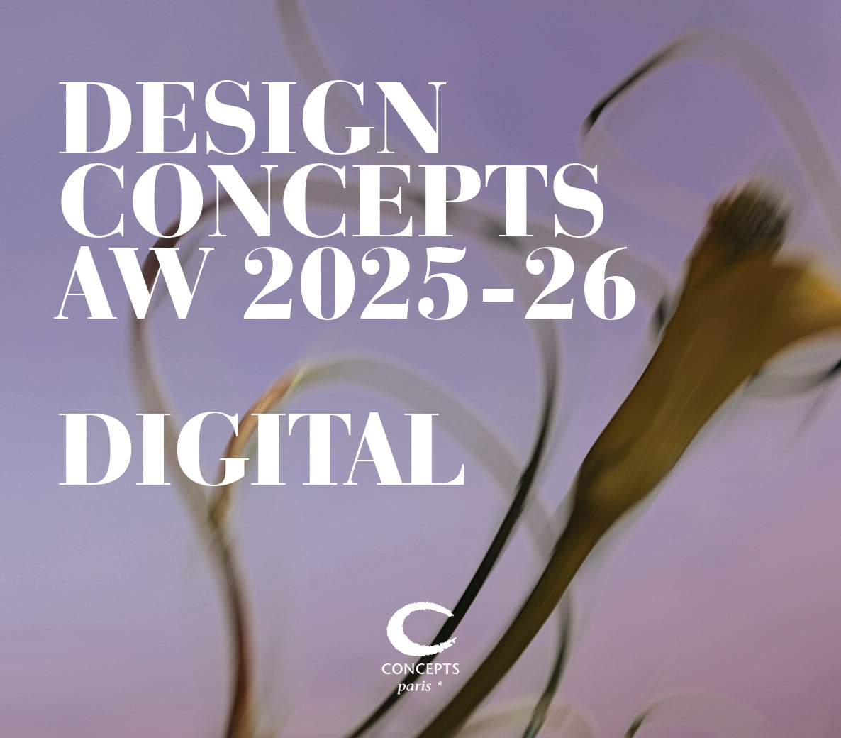 Design Concepts AW25-26 Lingerie & Loungewear - DIGITAL ONLY