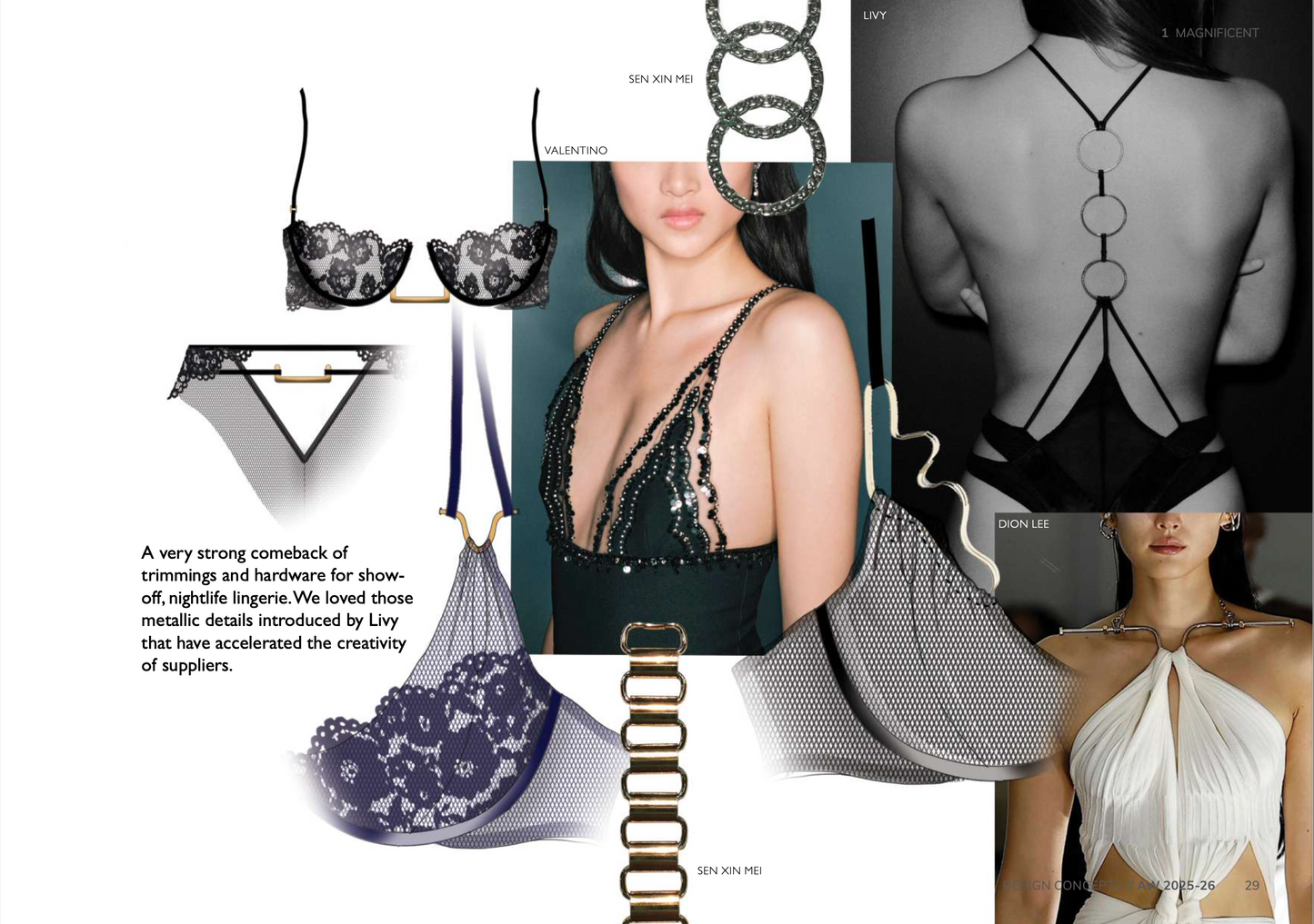 Design Concepts AW25-26 Lingerie & Loungewear - YEAR SUBSCRIPTION
