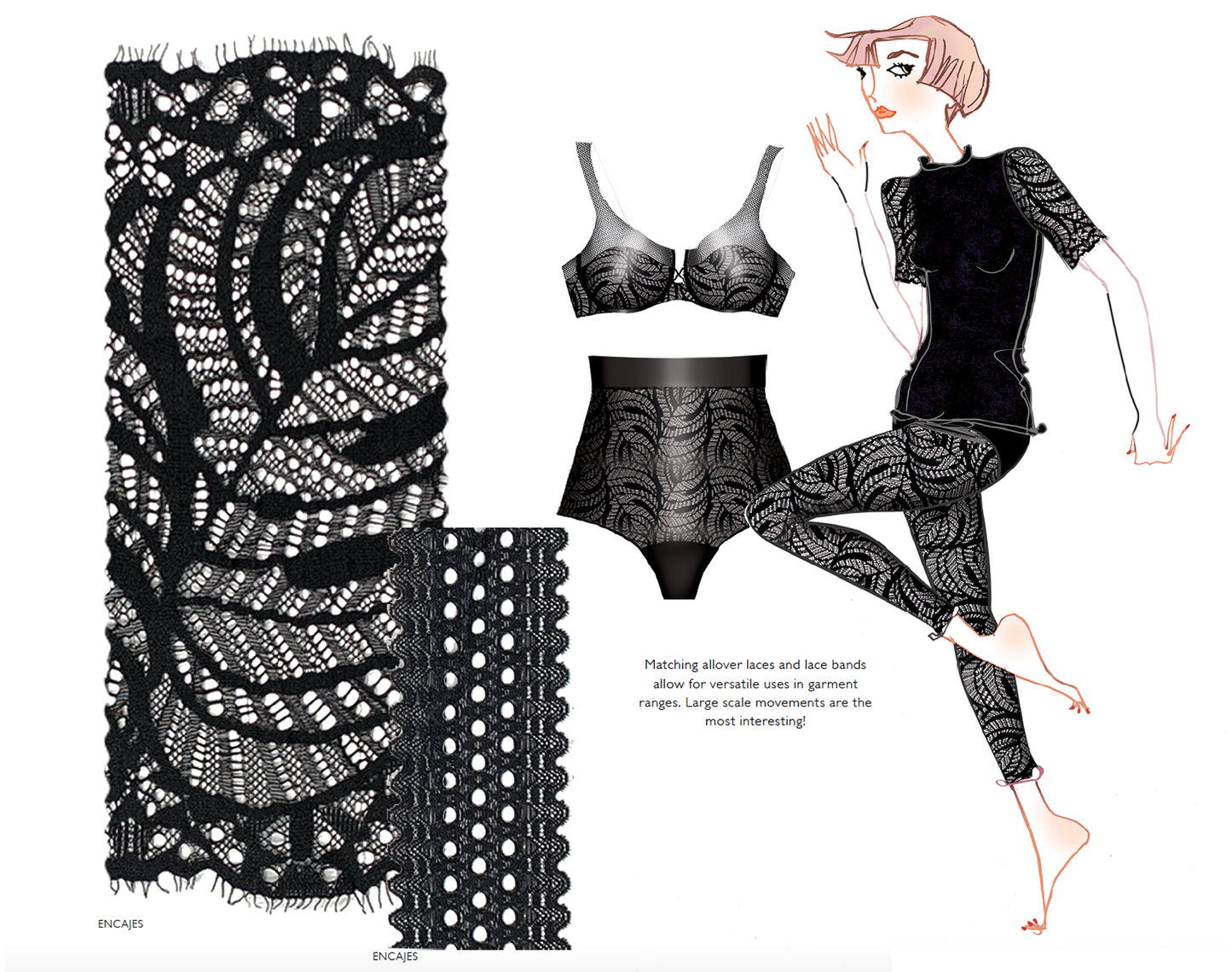 Design Concepts AW24-25 Lingerie & Loungewear - Physical Book (Special Price)